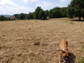  Terrain � vendre 5117 m�