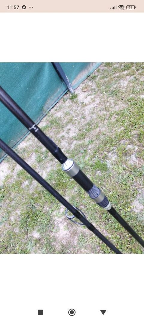 canne a carpe Amiens (80)