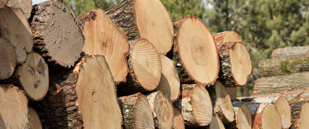 Bois de chauffage Jardin