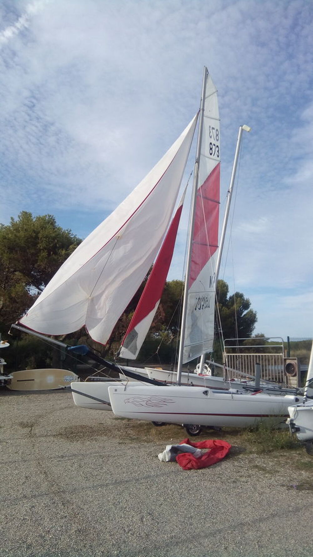 catamaran de sport Sports