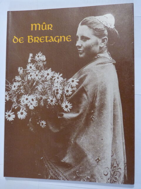 MUR DE BRETAGNE 22 Brest (29)