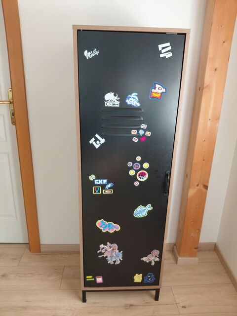Meuble Cassier de chambre urgente 10 Colmar (68)