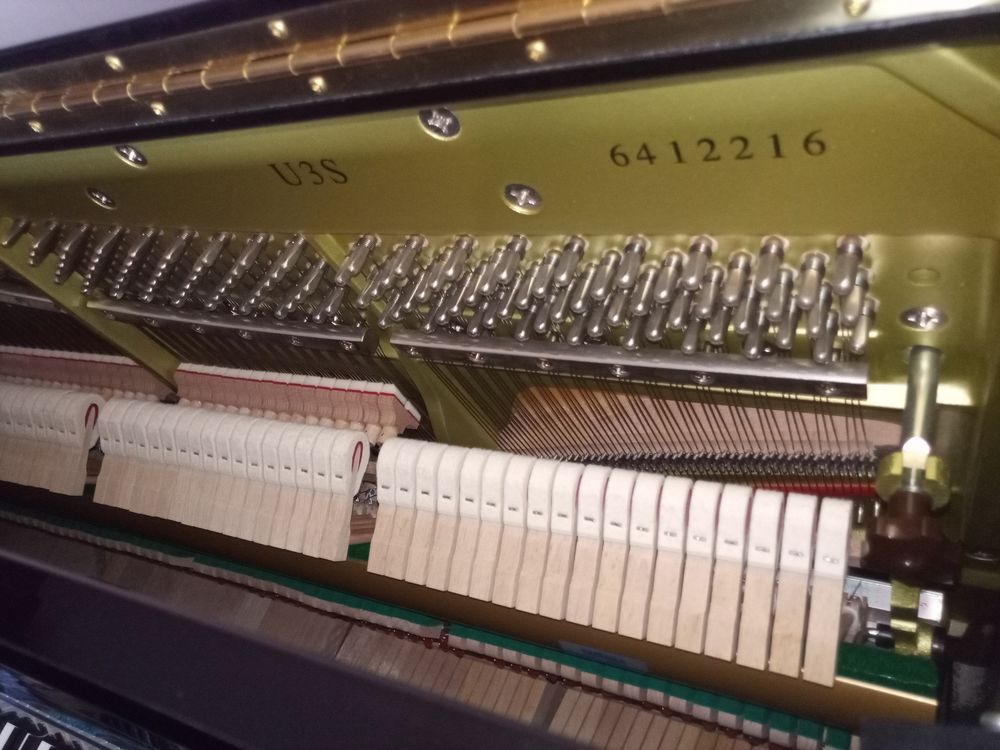 Yamaha U3S
Age 7ans,
tr&egrave;s bonne &eacute;tat
Instruments de musique