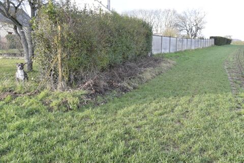 cherche bois de chauffage 0 02250 Autremencourt