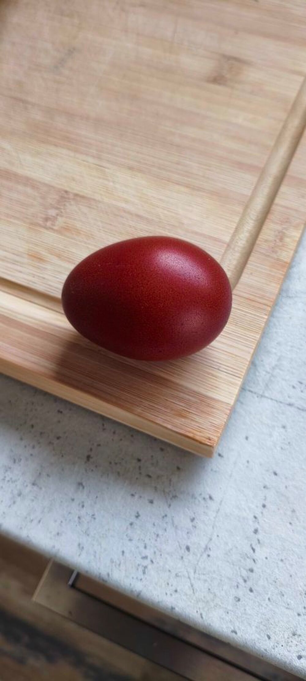 Jeune+Coq+de+Marans+pure+race Jardin