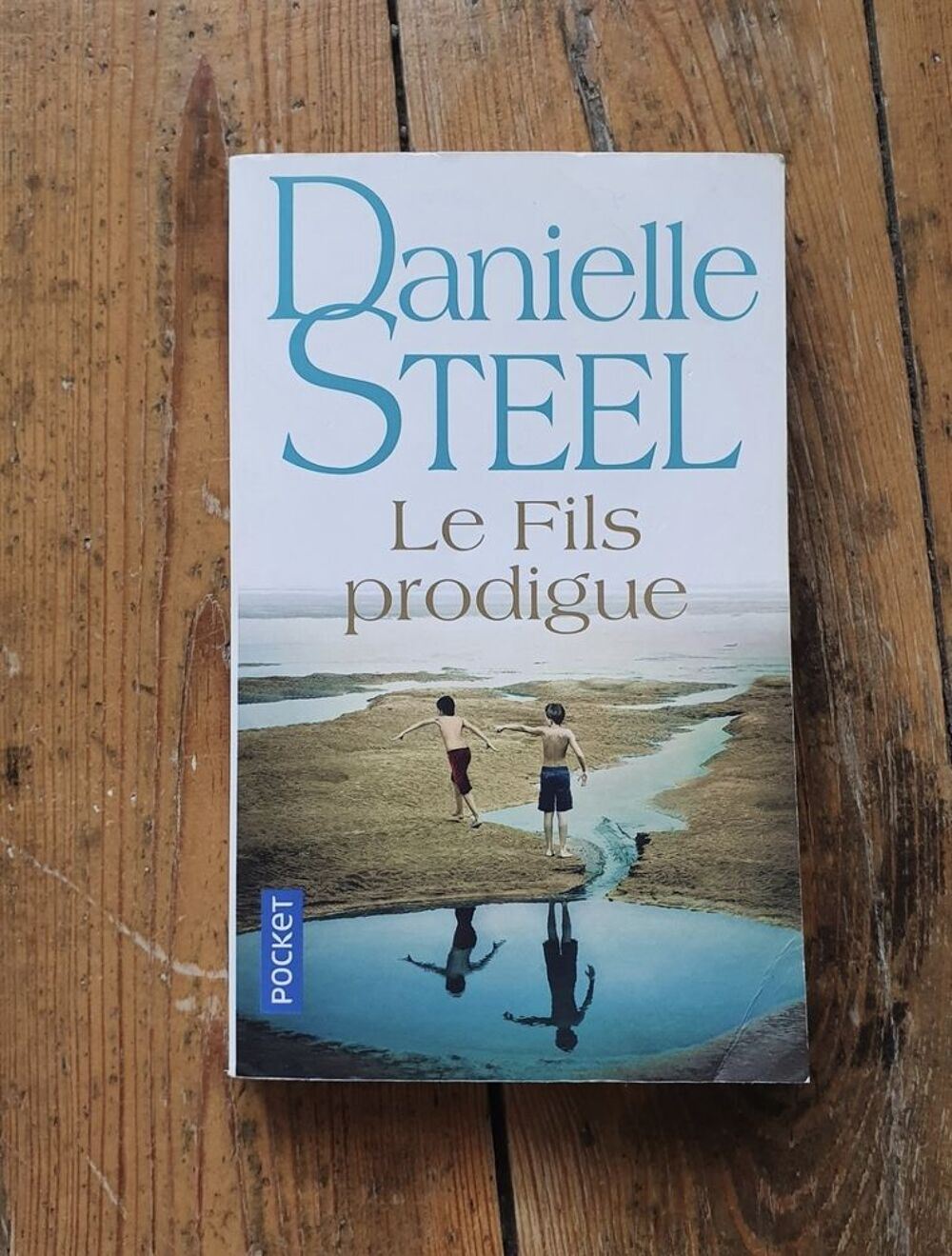livre Danielle Steel - le fils prodigue Livres et BD