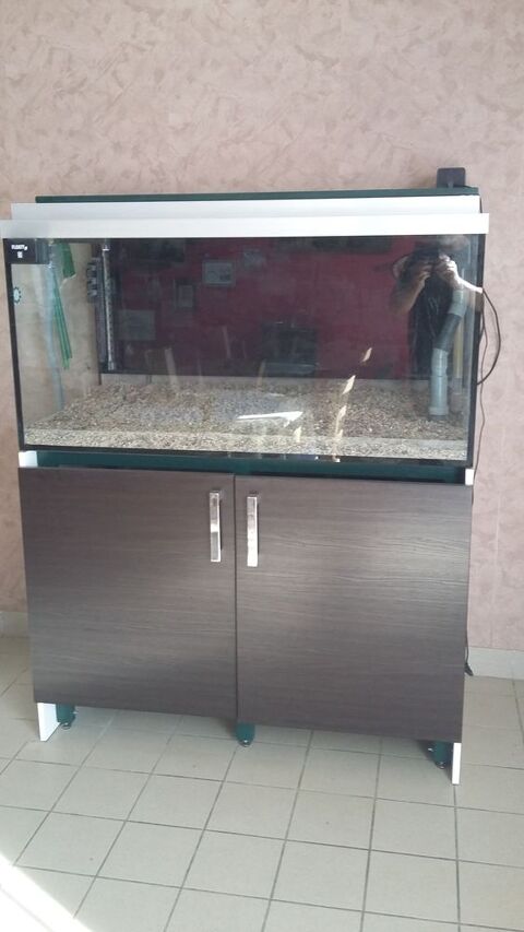 Aquarium 400 litres 200 89144 Ligny-le-chtel