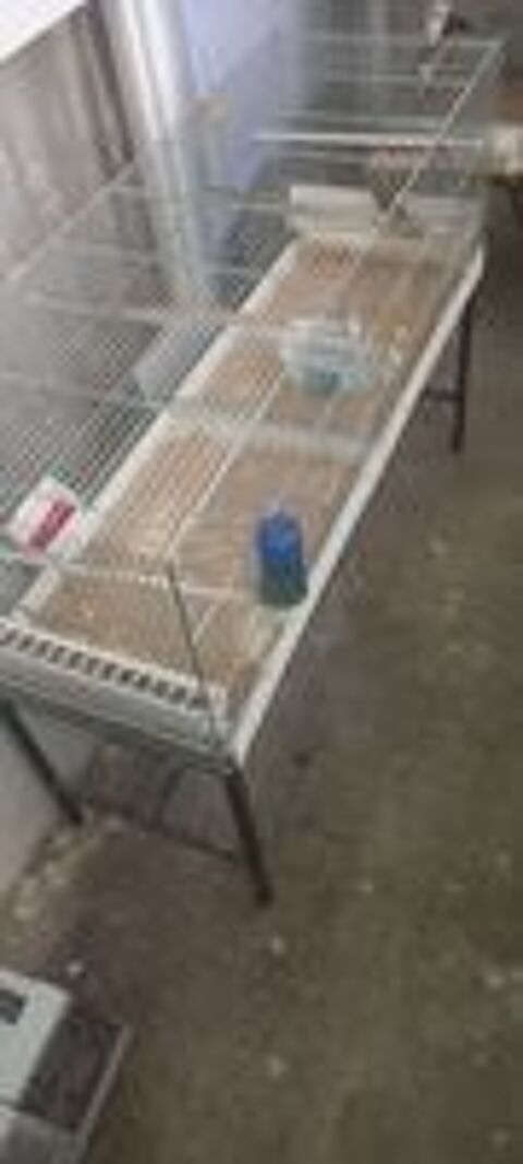   cage 1.20 .  plus demander  dbarquer 1,20 tous les abreuvo 