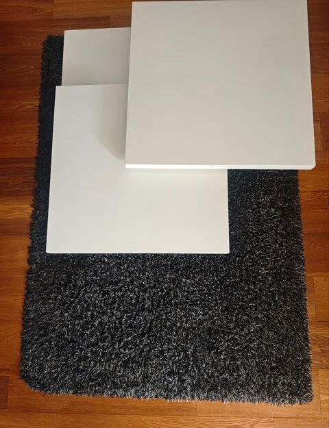 Table basse pivotante FLY + tapis gris/noir ? Très bon état 150 Nice (06)