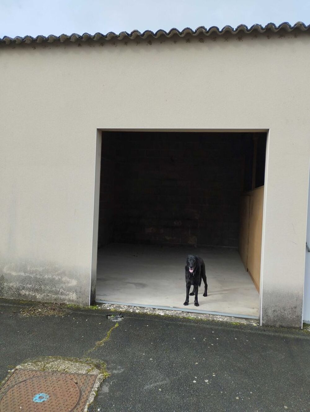 Location Parking/Garage GARAGE LOCAL 28 M2 Valanjou