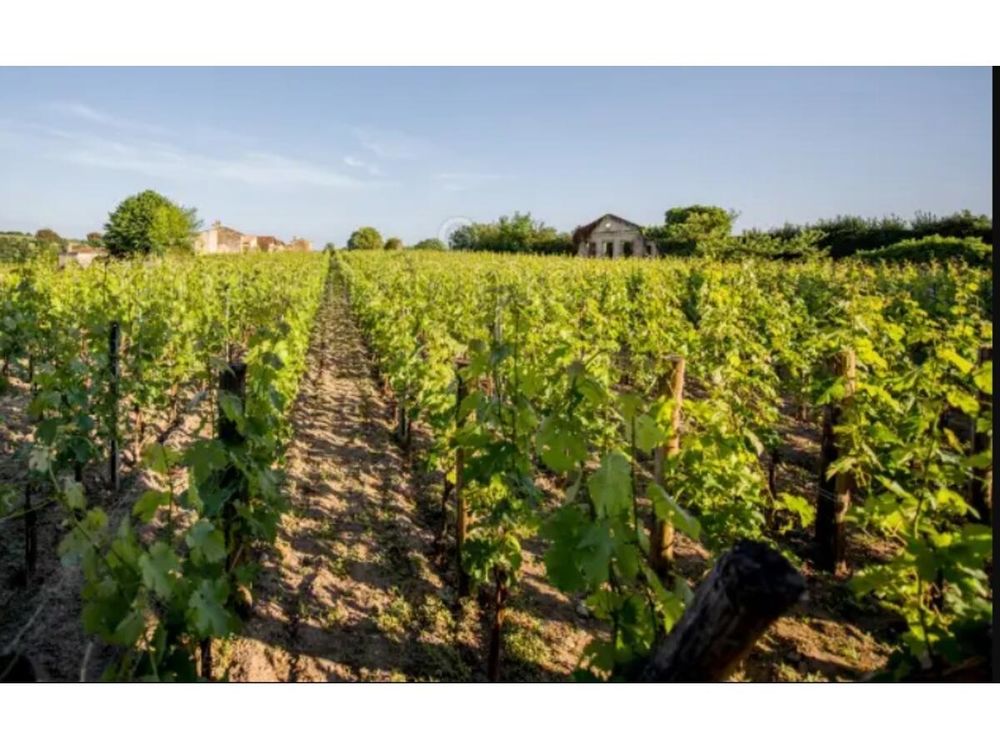 Vente Terrain Terrain Saint-sulpice-de-faleyrens