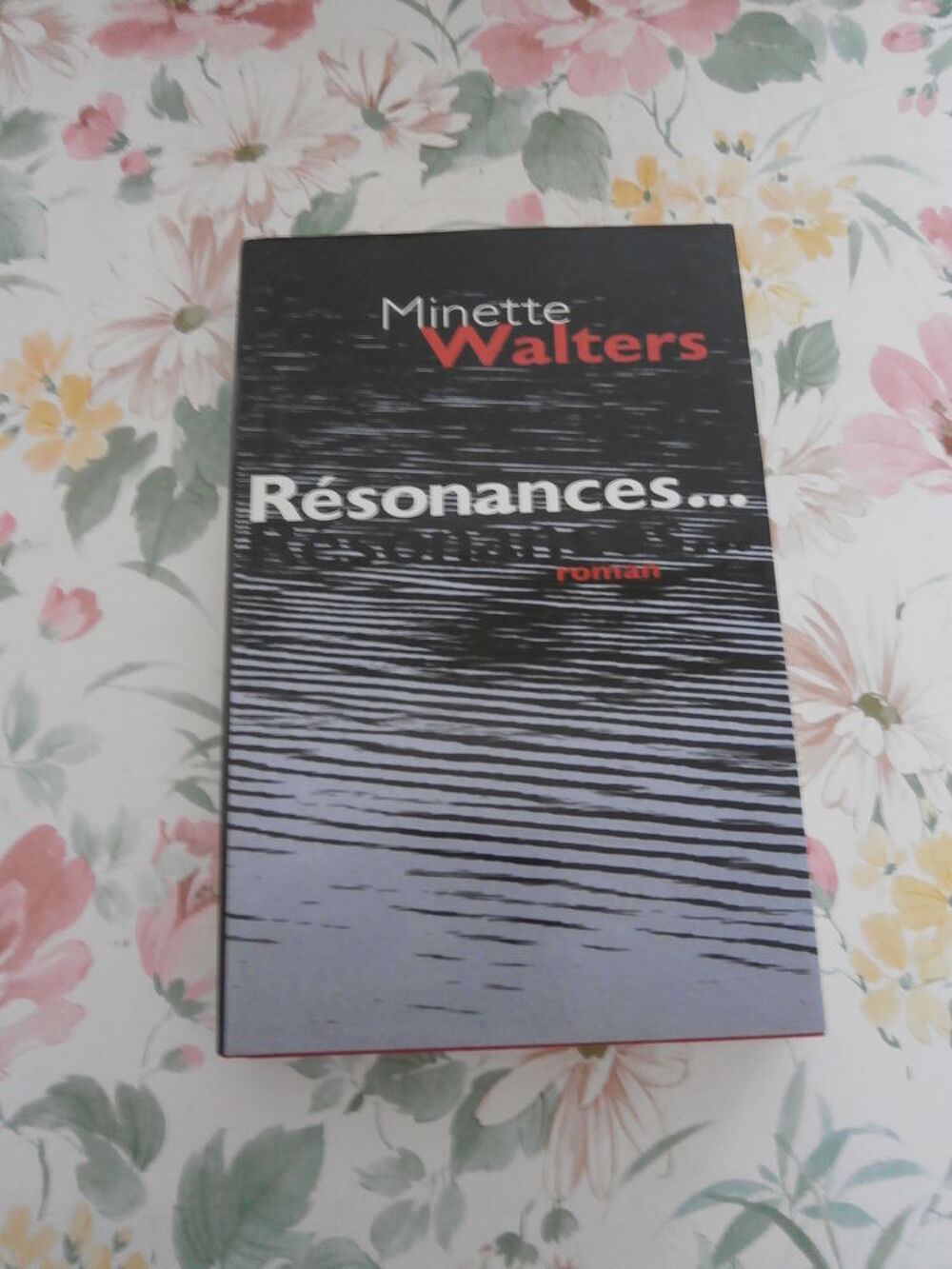 2 Romans de Minette Walters Livres et BD