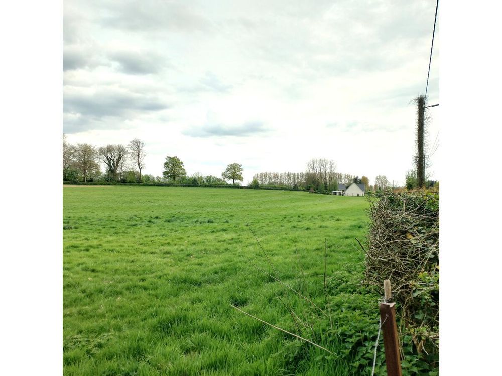 Vente Terrain Terrain Ruisseauville