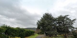 Investissement à vendre 5 pièces 4097 m²