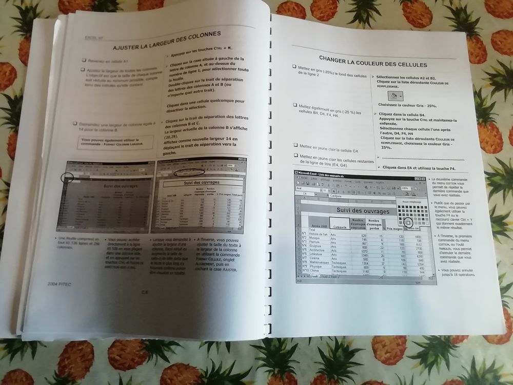 Cahier initiation EXEL XP stage FITEC Matériel informatique