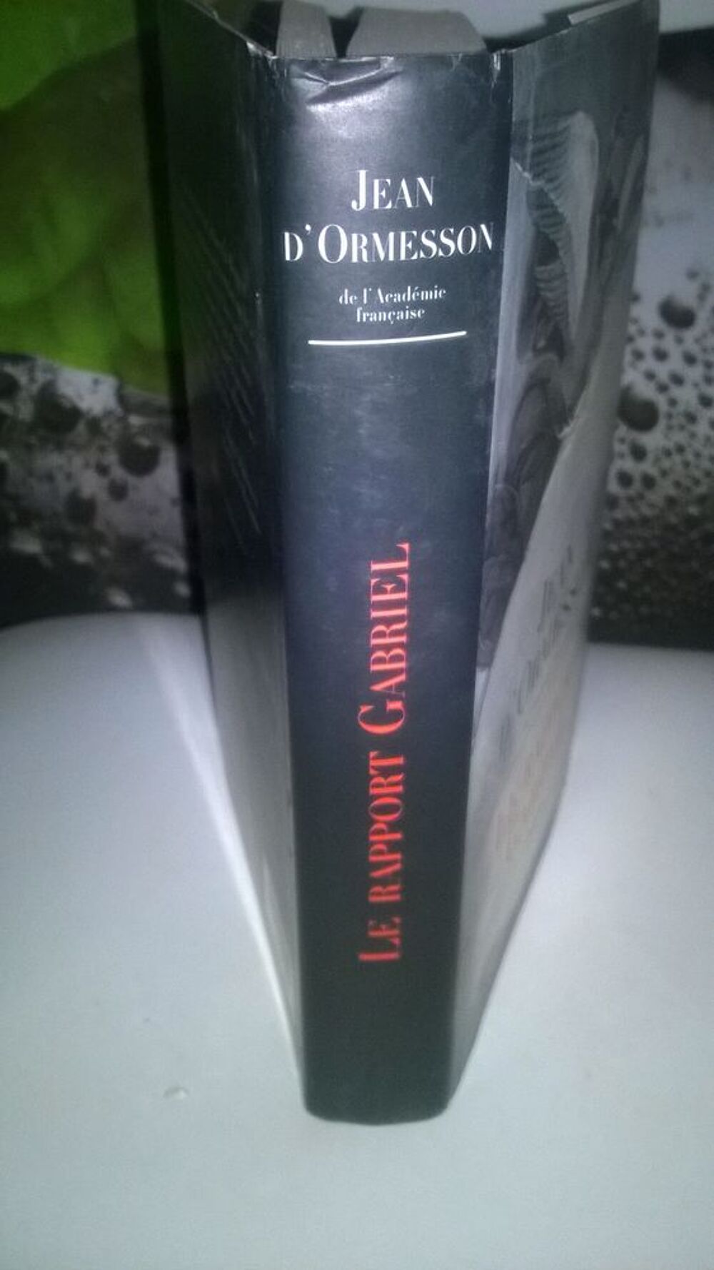 Livre Le Rapport Gabriel 
D'ORMESSON, JEAN 
Livres et BD