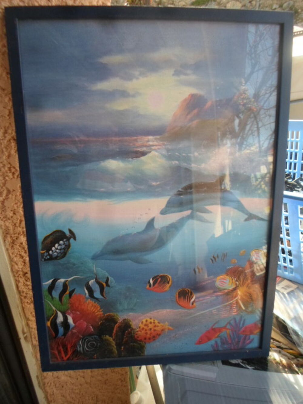 tableau dauphin 37x52 encadre sous verre Décoration