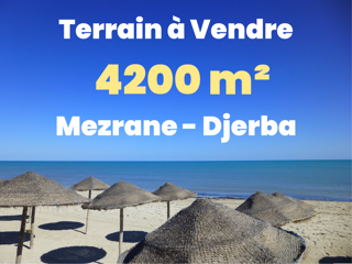  Terrain à vendre 4200 m² Djerba