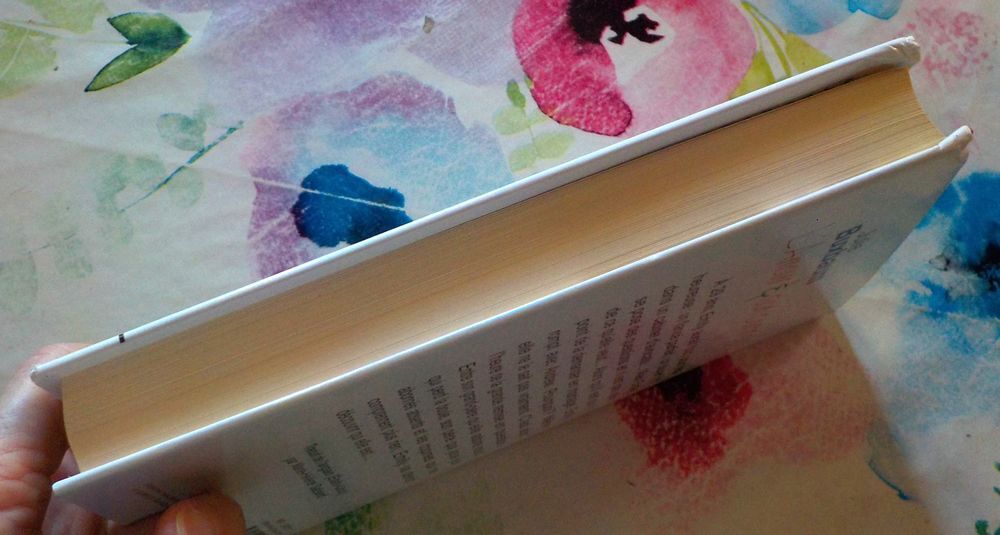 L'AMOUR &amp; SON CONTRAIRE de Julie BUXBAUM Ed. France Loisirs Livres et BD