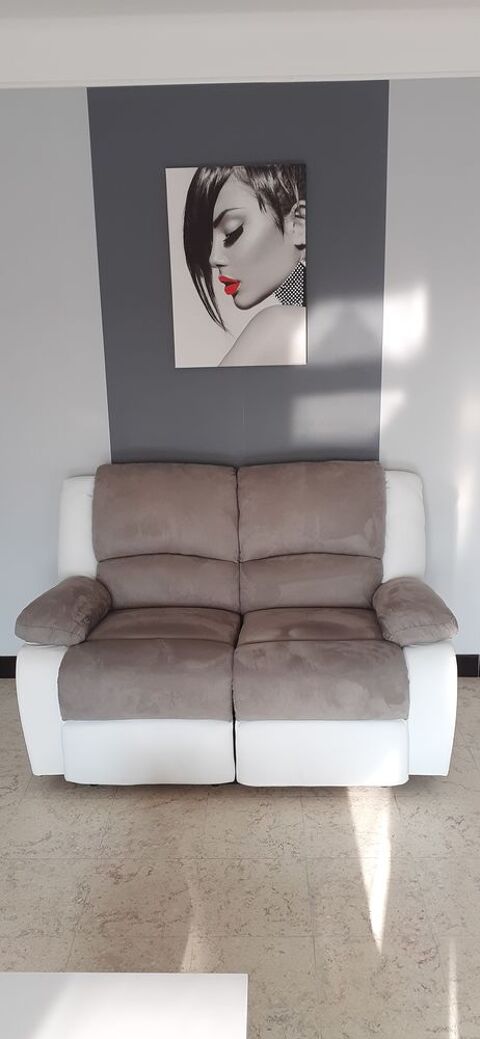 2 CANAPS RELAX MANUELS 280 Appoigny (89)