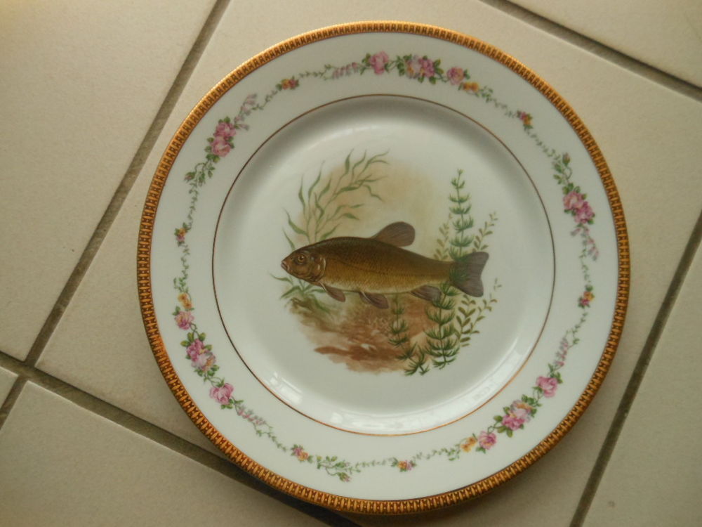 Service &agrave; poisson Cuisine