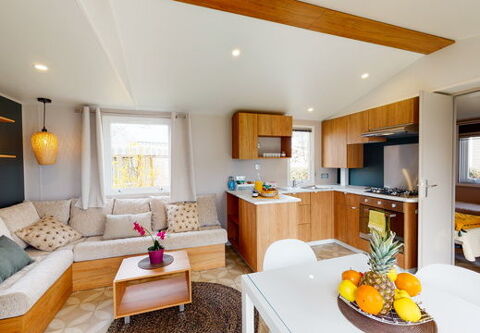 Mobil-Home Mobil-Home 2022 occasion Fr&eacute;jus 83600