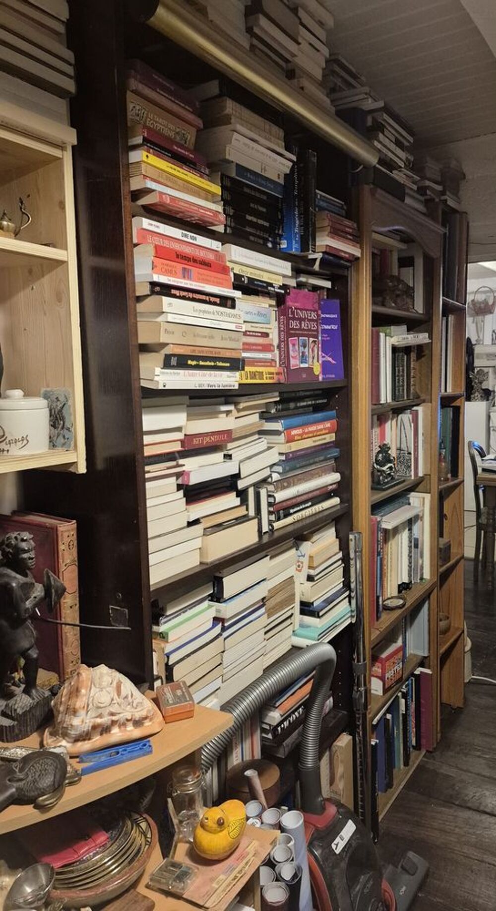 BROCANTE , livres anciens et modernes Livres et BD