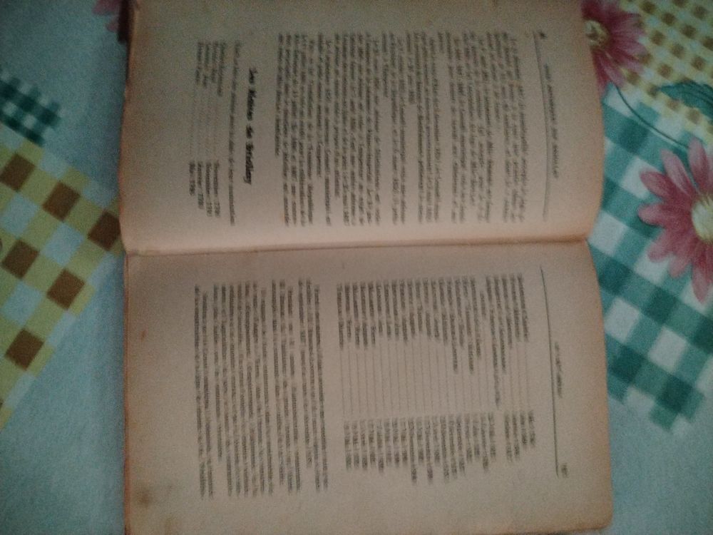 livre NOTES HISTORIQUES SUR BRIOLLAY Livres et BD