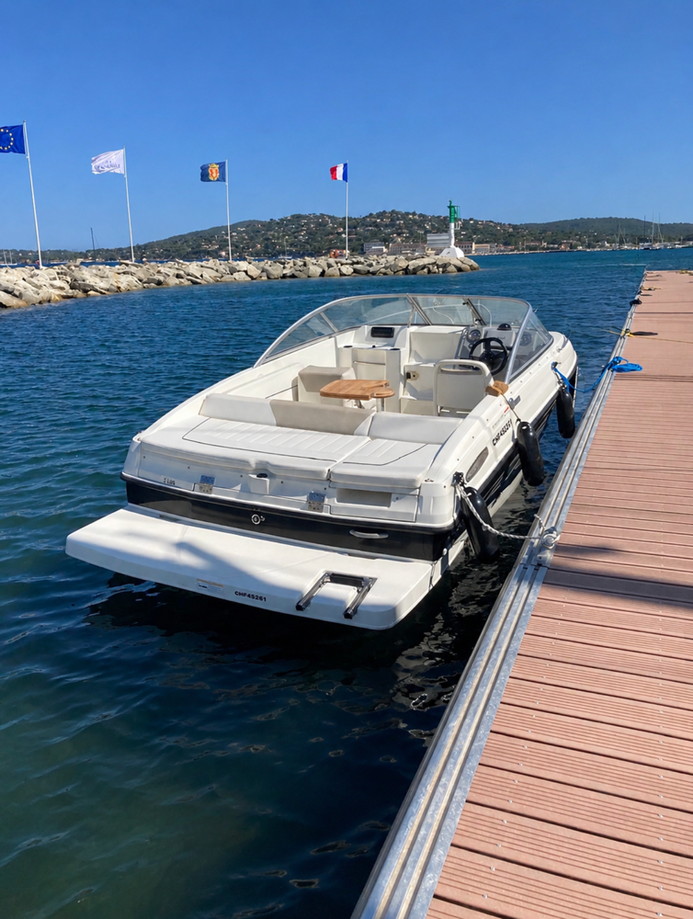 Bateau fluvial 2013 occasion 73100 Aix-les-Bains