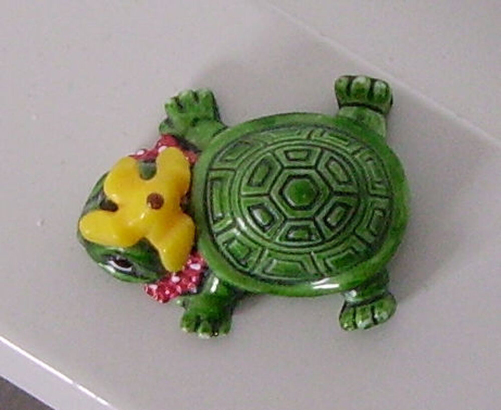 Tortue Kinder 
