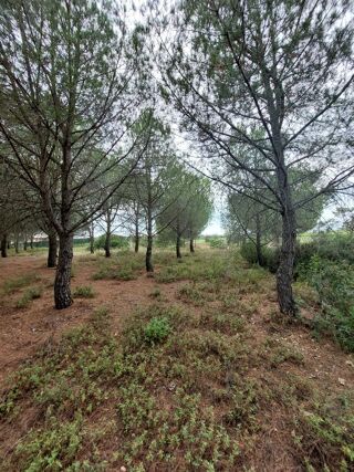  Terrain � vendre 10420 m�