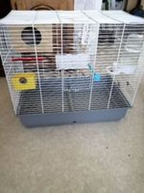    cage petit oiseaux  