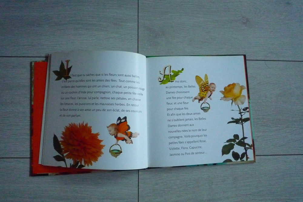 5 livres + 1 diad&egrave;me Jeux / jouets