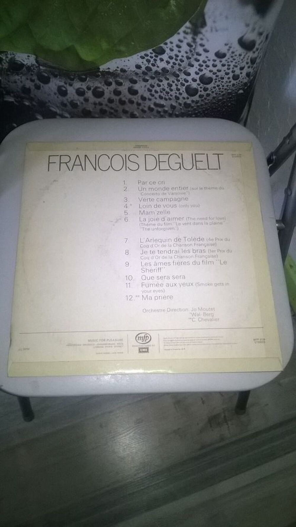 Vinyle Fran&ccedil;ois Deguelt
1977 CD et vinyles