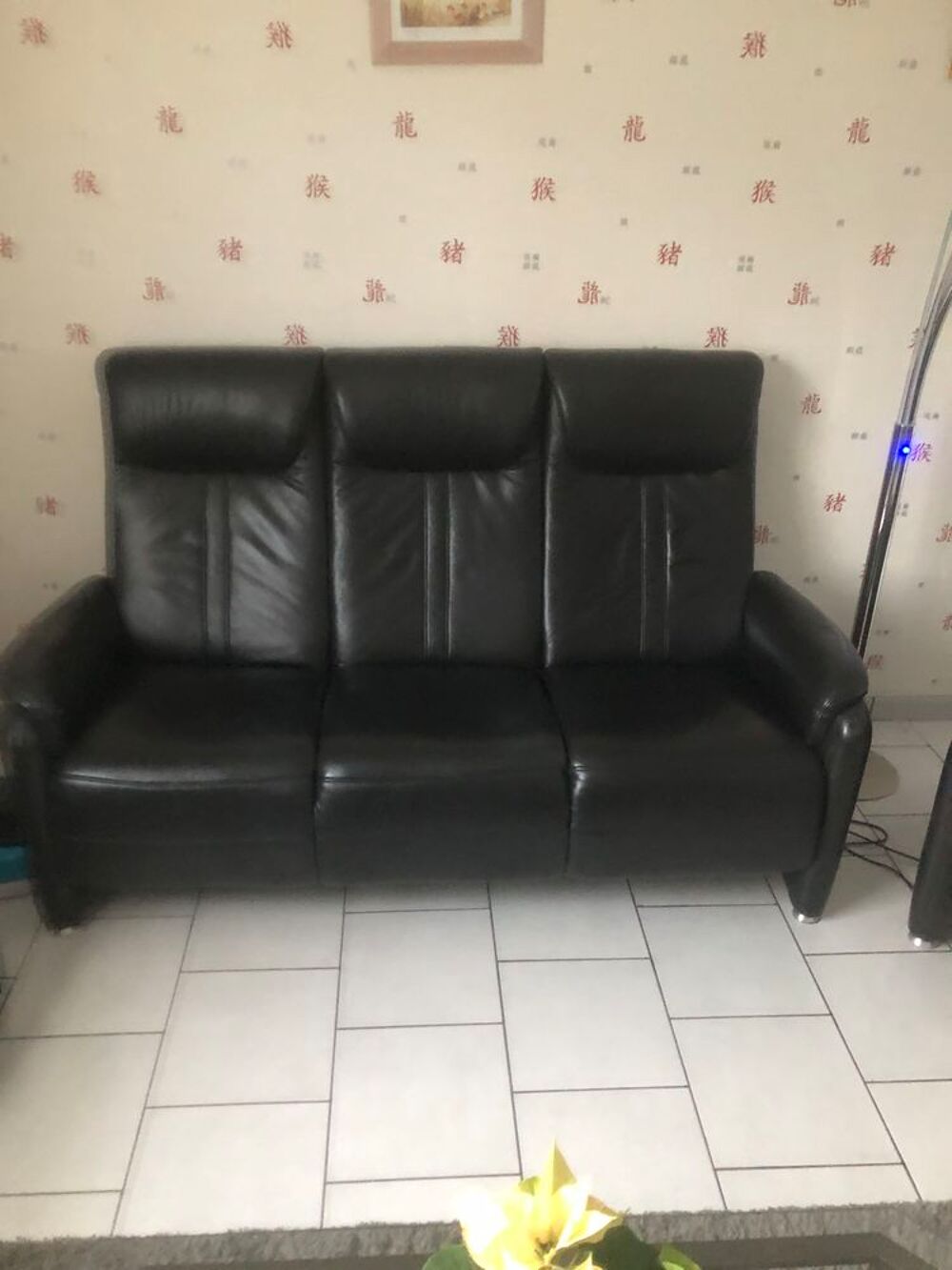 canap&eacute; cuir Meubles
