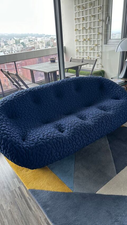 Canap PLOUM Ligne Roset 2500 Puteaux (92)