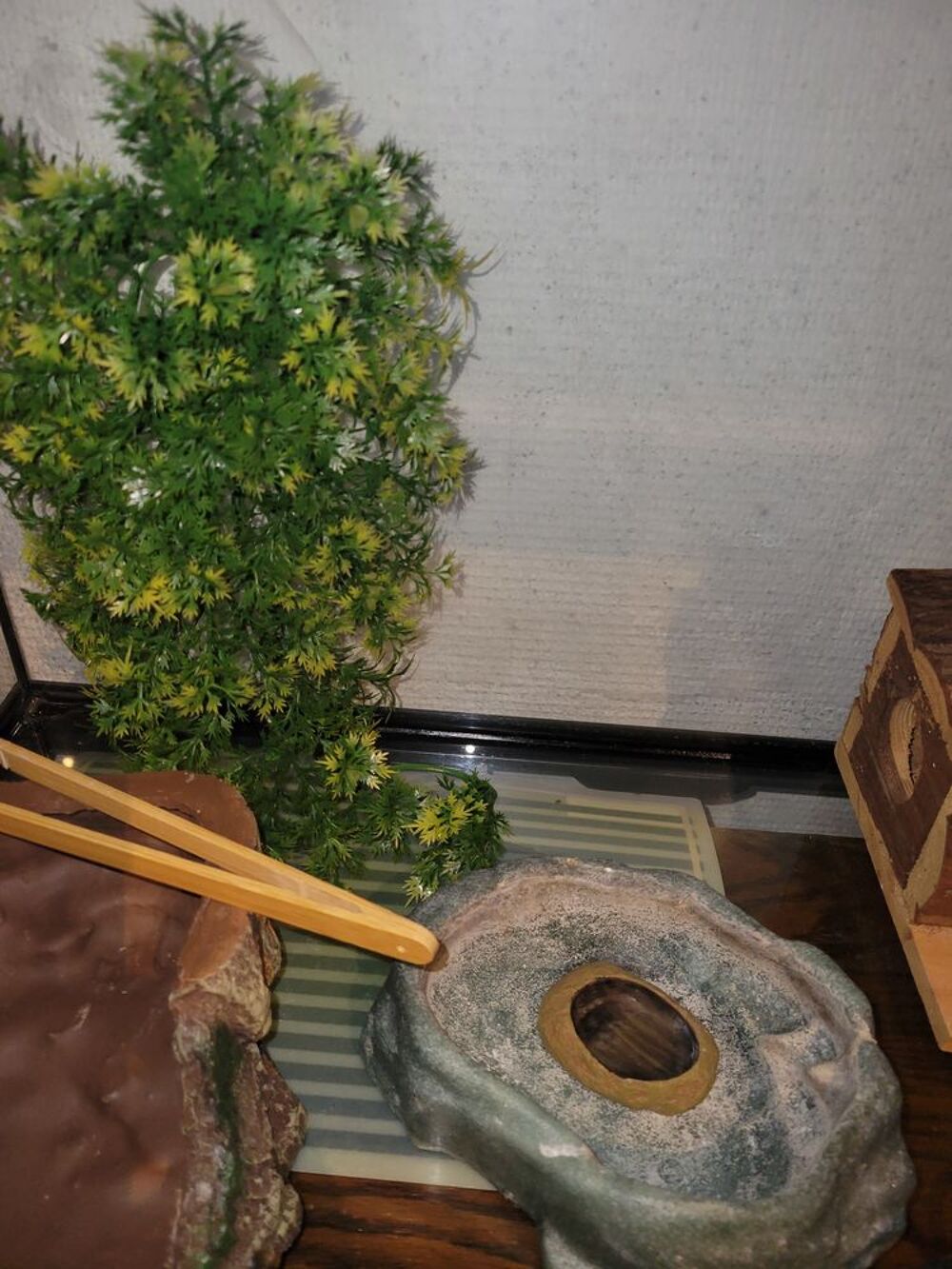 Grand terrarium Tr&egrave;s bonne &eacute;tat Décoration