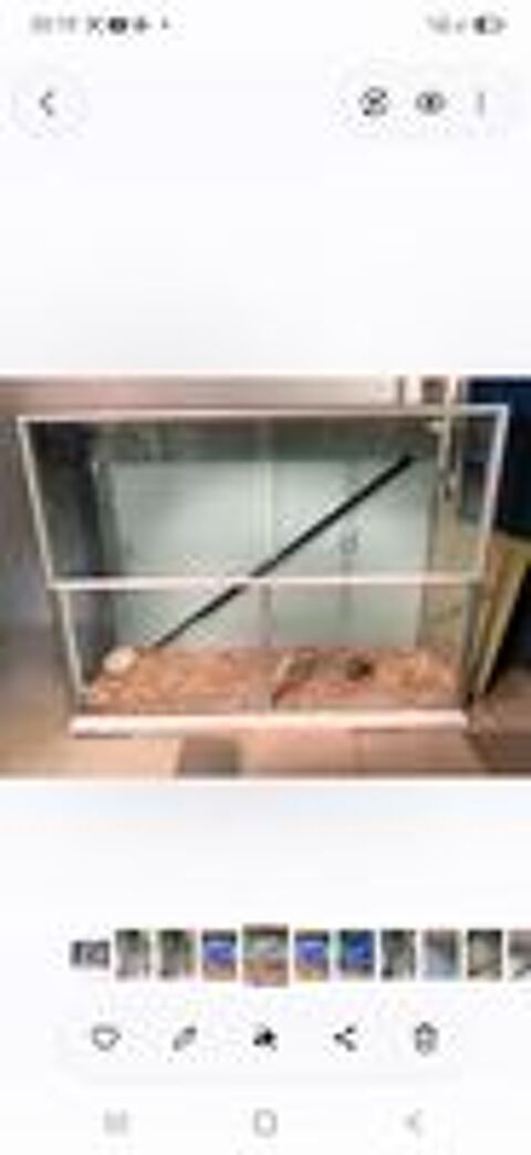   Terrarium xxl 
