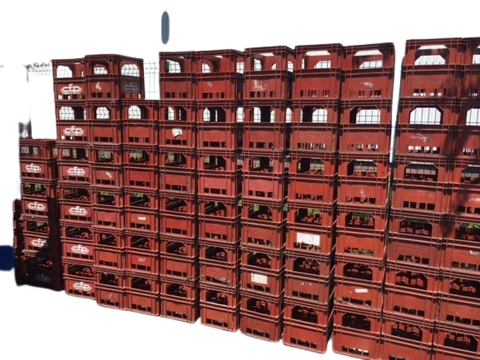 Casiers � bouteilles en plastiques Cfp 10 Gu�men�-Penfao (44)