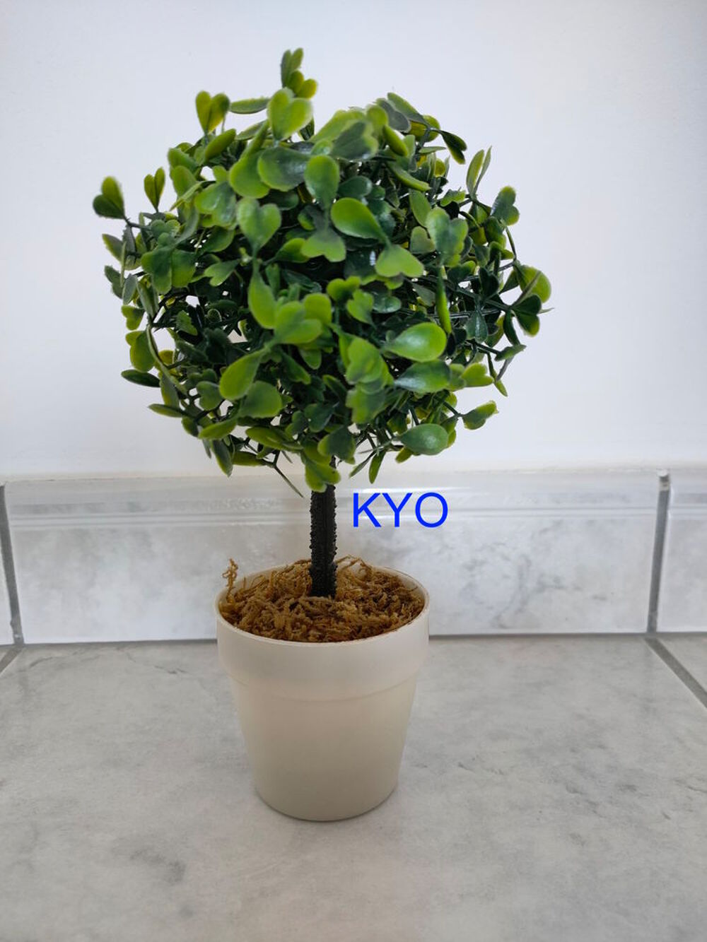 Petit Arbre buis rond, Hauteur 22cm Diam&egrave;tre 11,5cm bonsa&iuml; Décoration