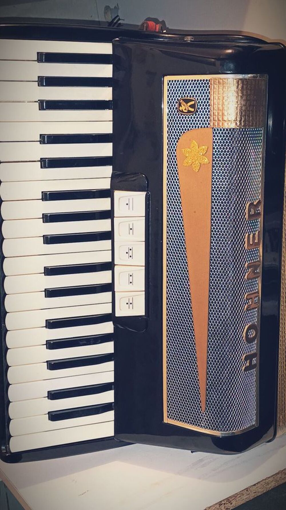 Accord&eacute;on Lu&ccedil;ia 3 Instruments de musique