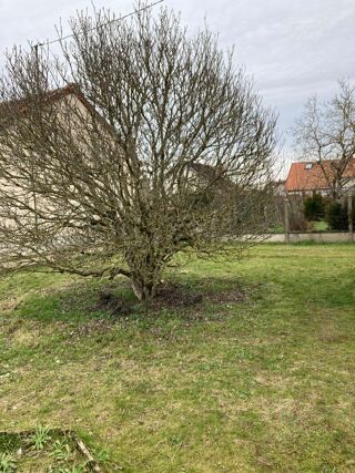  Maison � vendre 4 pi�ces 65 m�