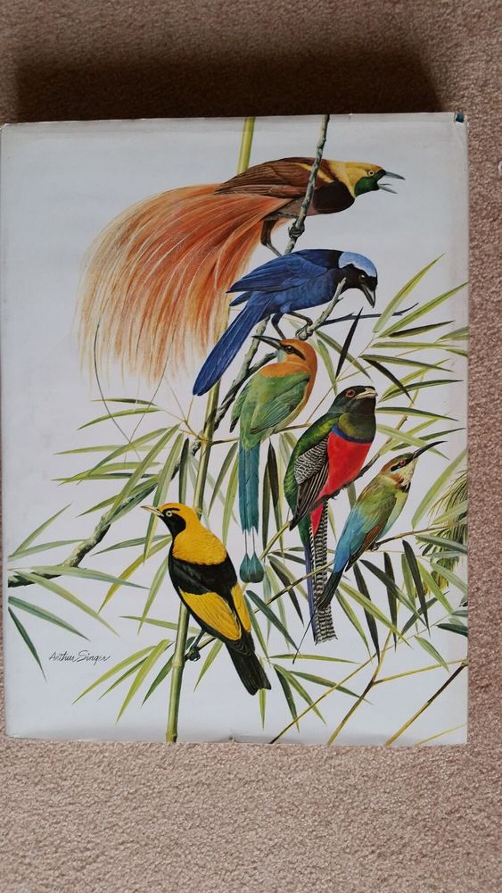 OISEAUX ( FLAMMARION ) livre Livres et BD