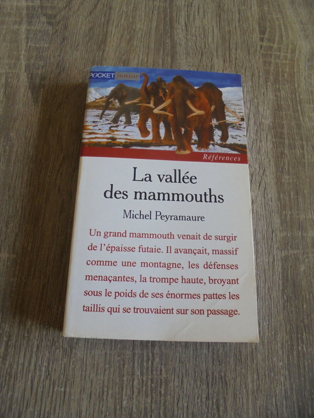 La vall&eacute;e des mammouths (106) Livres et BD