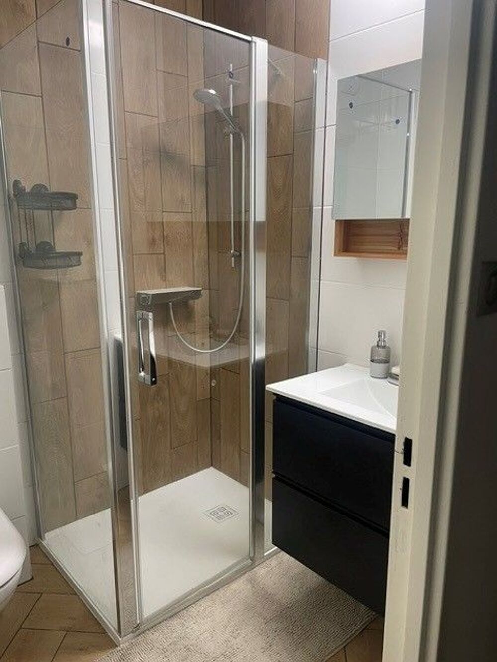 Location Appartement studio meublé Esplanade Strasbourg