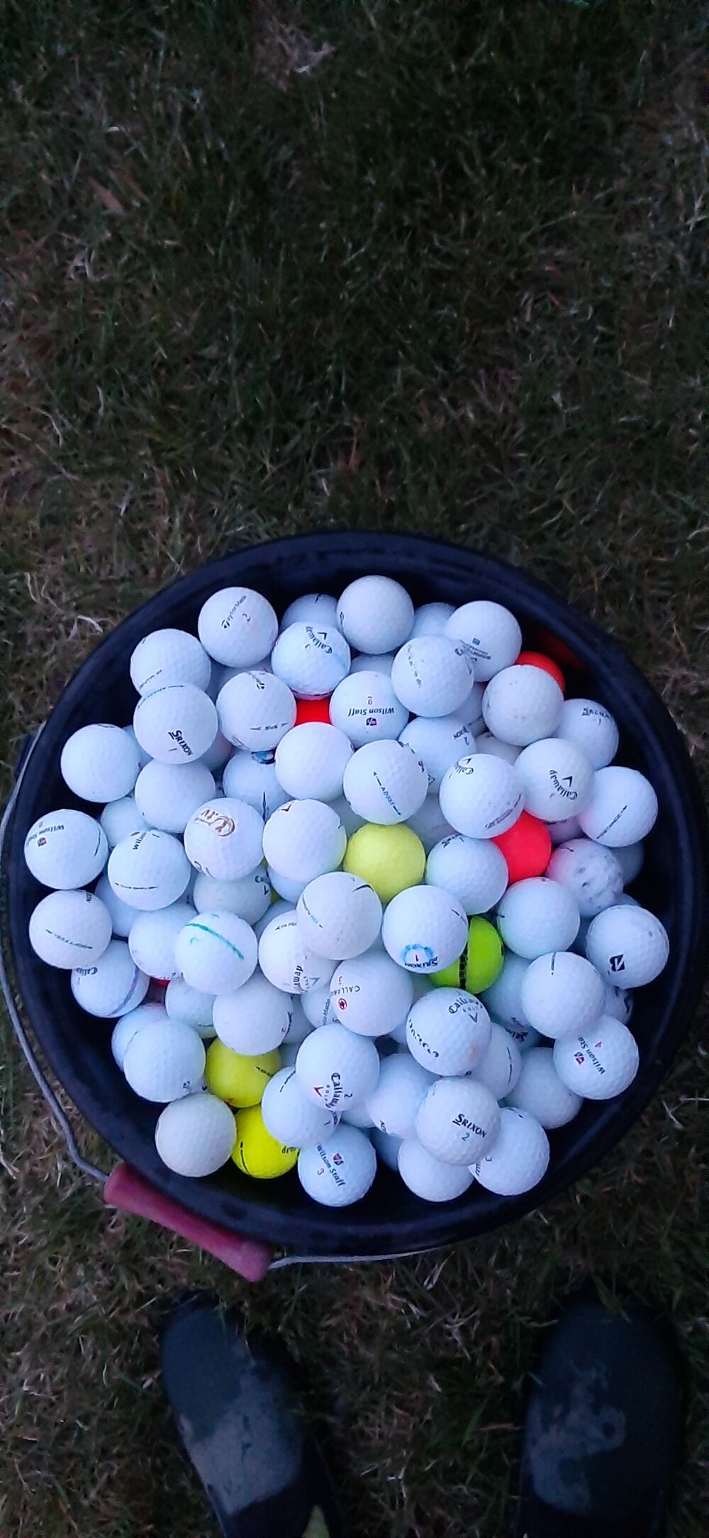 50 balles de golf occasion sup&eacute;rieur &agrave; 20 euros Sports