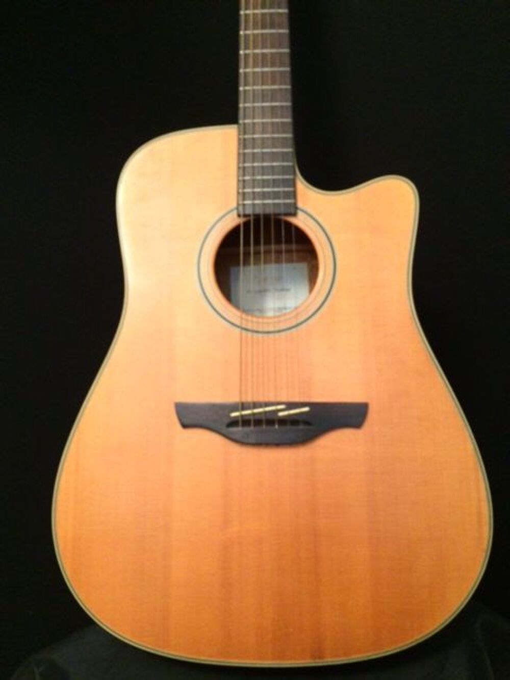 Takamine EG 510 SC Tr&egrave;s bon &eacute;tat + jeu de cordes Elixir Instruments de musique
