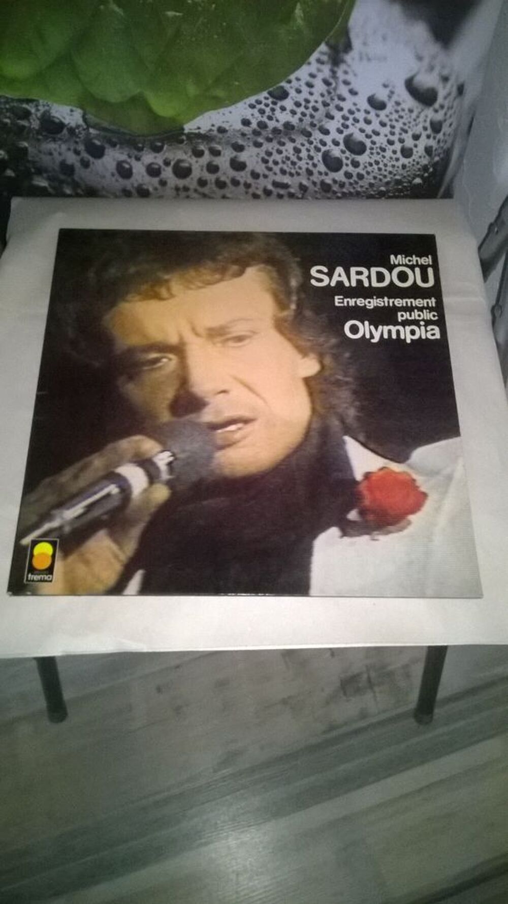 Vinyle Michel Sardou
Enregistrement public Olympia
1977
E CD et vinyles