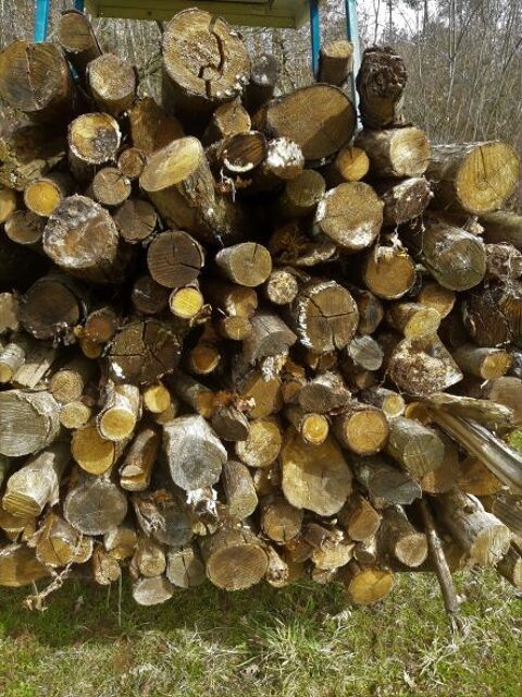  bois de chauffage de châtaignier 35 Mazeyrolles (24)