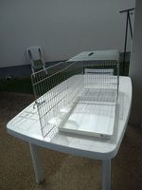   Cage de transport oiseaux 